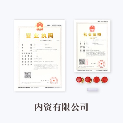阳东内资有限公司